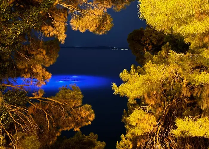 Doel-parking , 2 Minutes To The Spalato